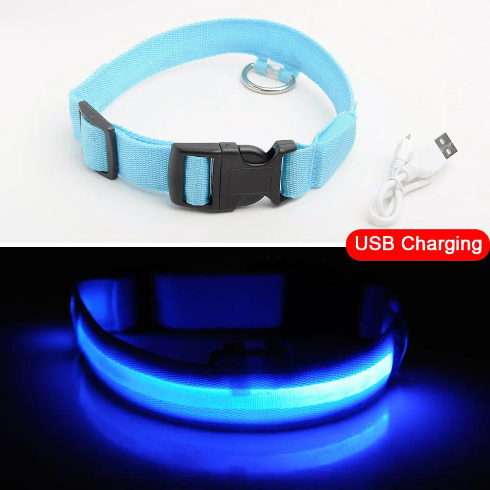 Luminous Safety Dog Collar