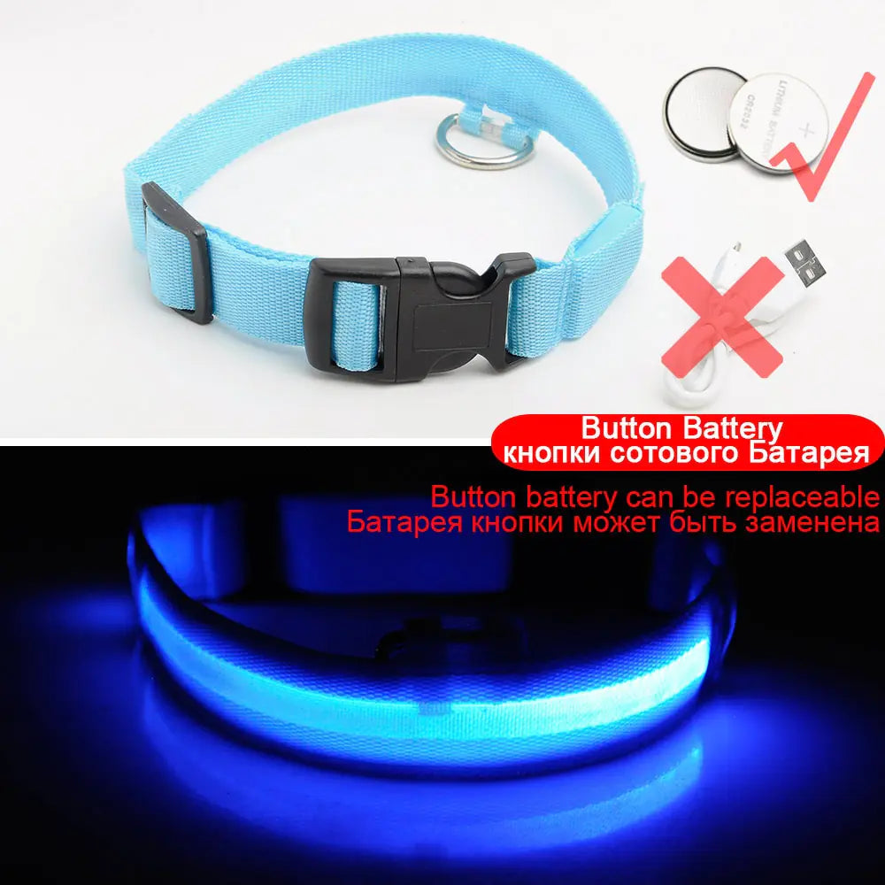 Luminous Safety Dog Collar