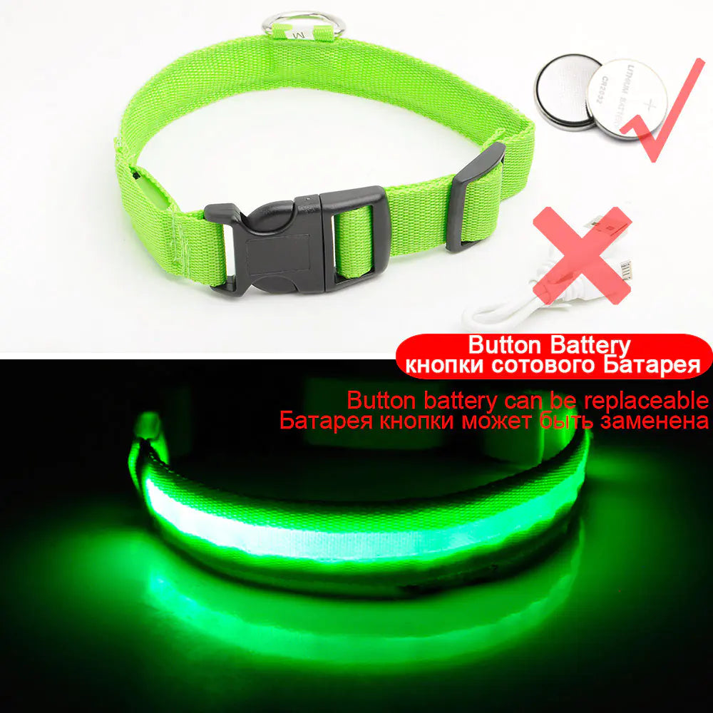 Luminous Safety Dog Collar