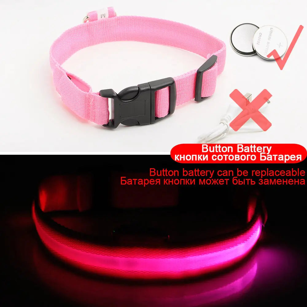 Luminous Safety Dog Collar