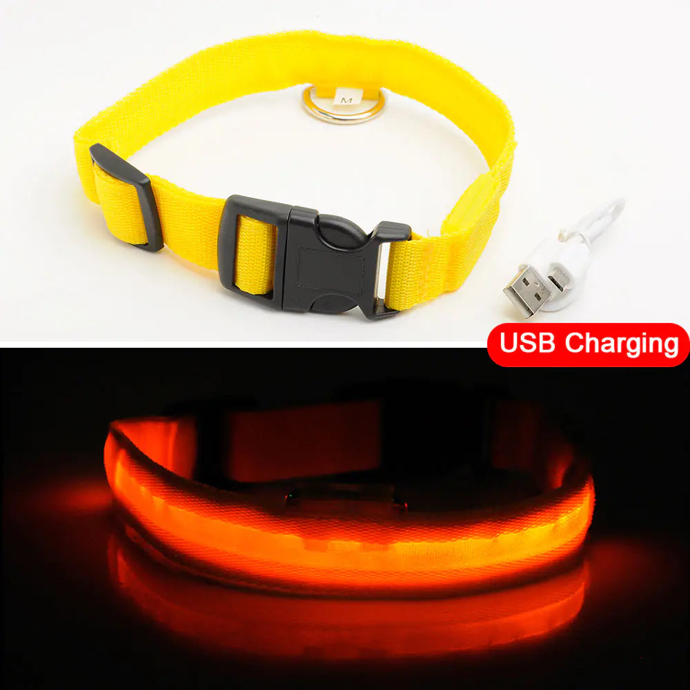 Luminous Safety Dog Collar