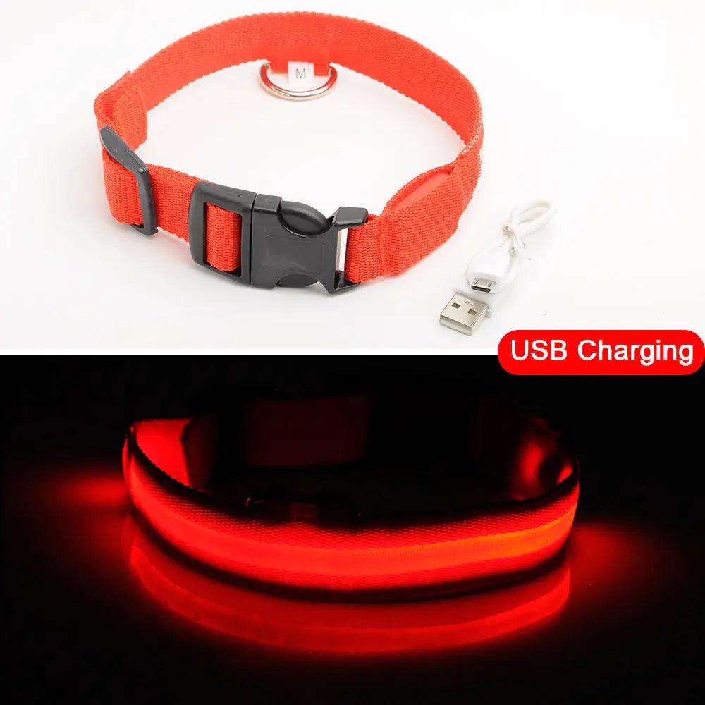 Luminous Safety Dog Collar