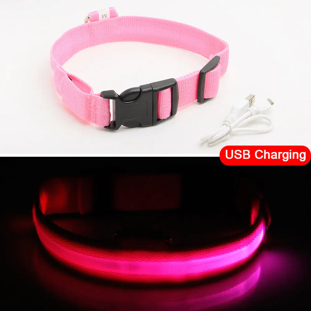 Luminous Safety Dog Collar