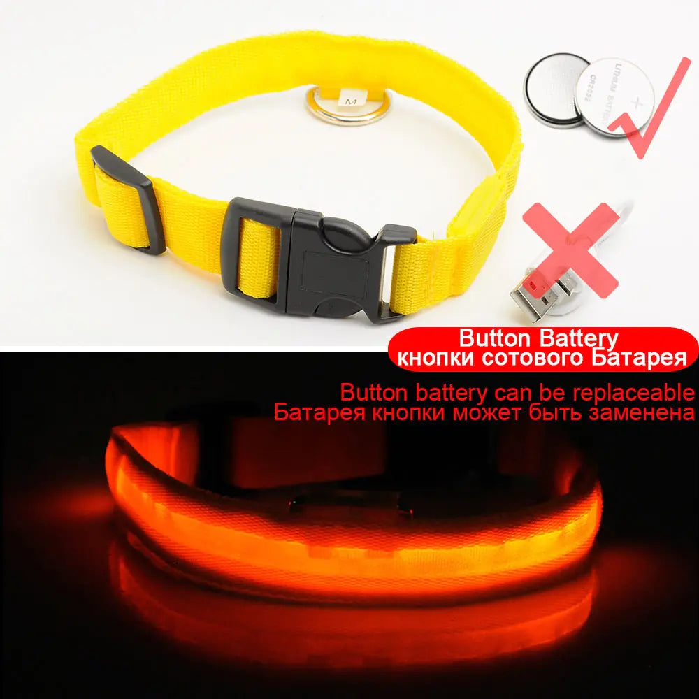 Luminous Safety Dog Collar