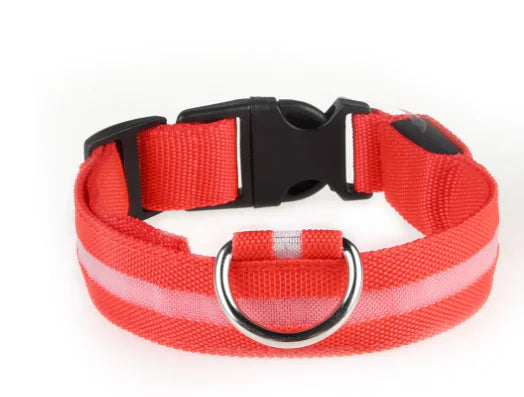 Luminous Safety Dog Collar