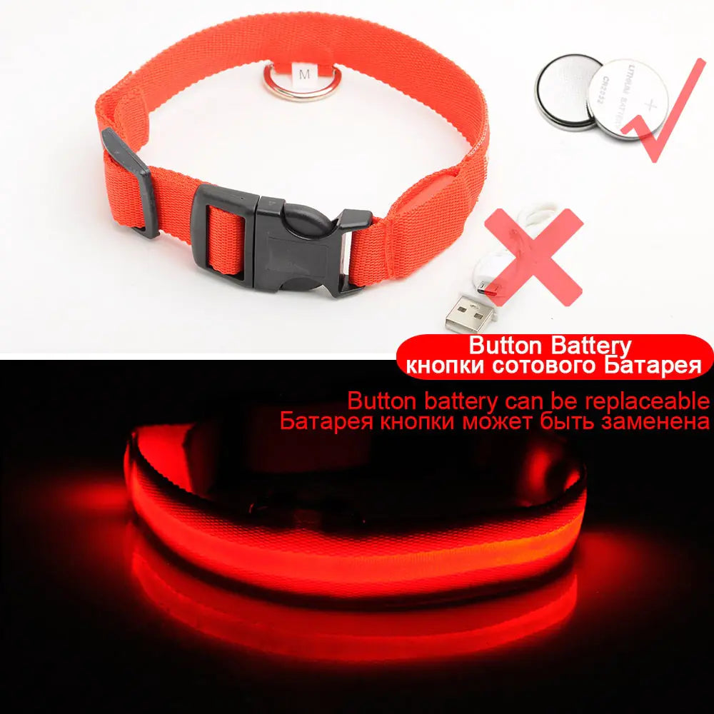 Luminous Safety Dog Collar