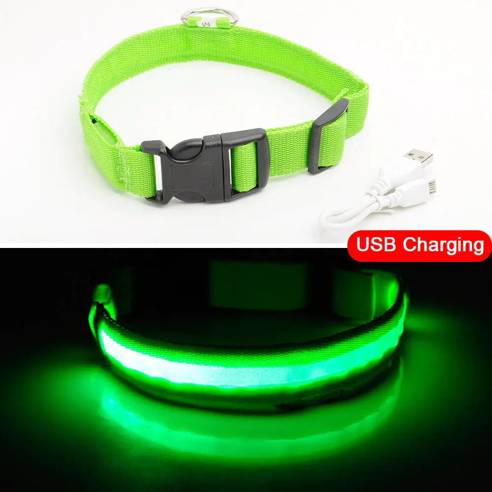 Luminous Safety Dog Collar